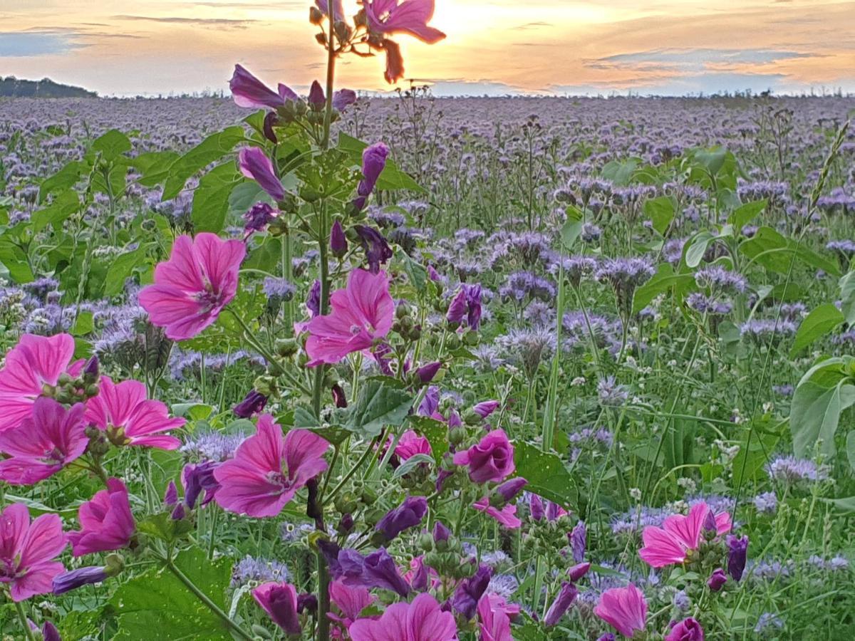 Fewo Purper Frauenberg Luaran gambar