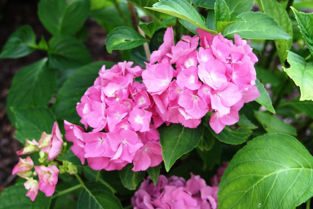 Fewo Purper Frauenberg Luaran gambar